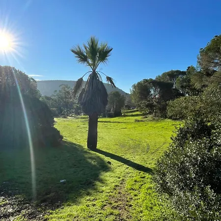 Quinta Do Vale Nest