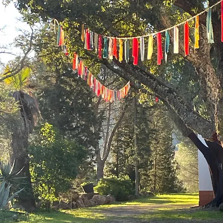 Quinta Do Vale Nest São Bartolomeu de Messines