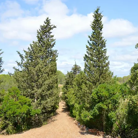 Quinta Do Vale Nest
